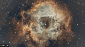 Rosette Nebula Space Photography Ian Phillips